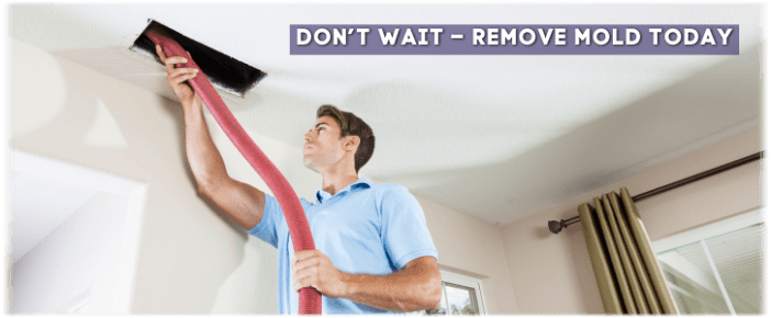 Air Duct Mold Removal in Brick NJ